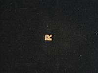 Charm Donna Oro Elements in Rose Gold Diamante DCHF9143R.002